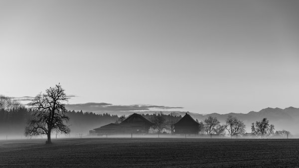 Серый пейзаж