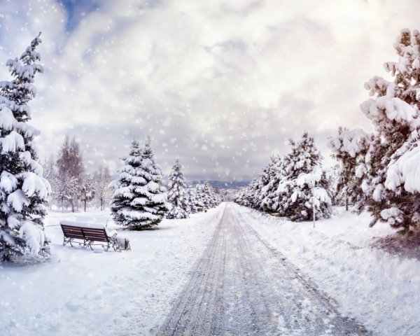 Красивый зимний фон