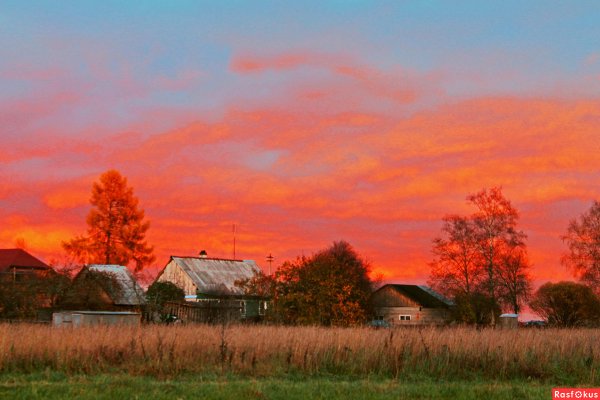 Осень деревня прясла