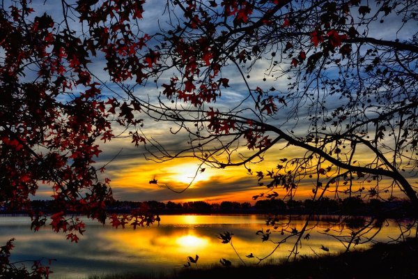 Осенний закат