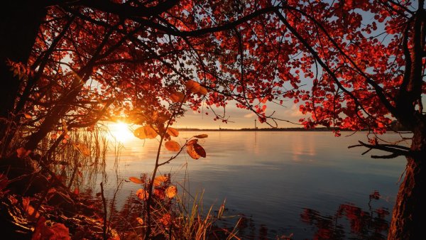 Осенний рассвет