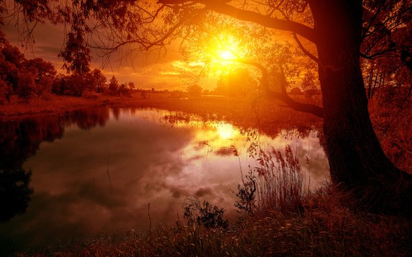 Красивый рассвет