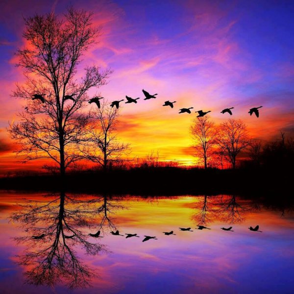 Красивый закат осенью