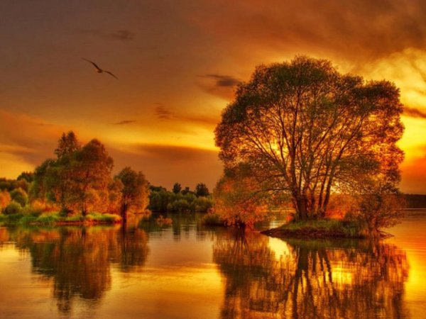 Вечерний осенний пейзаж