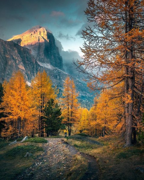 Осенний лес в горах