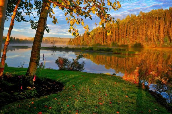 Осенний лес с озером