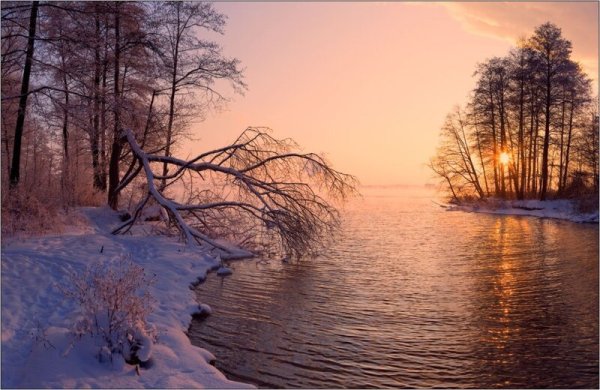 Февральский пейзаж