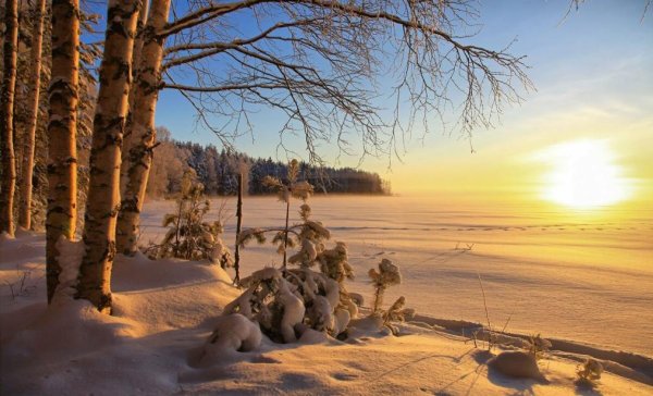 Февральский пейзаж