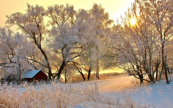 Природа зима