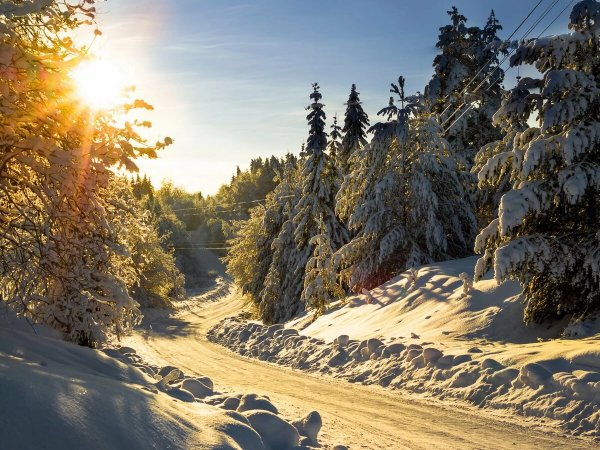 Февральский пейзаж