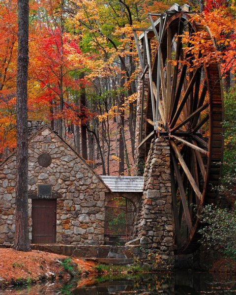 Осень необычные места