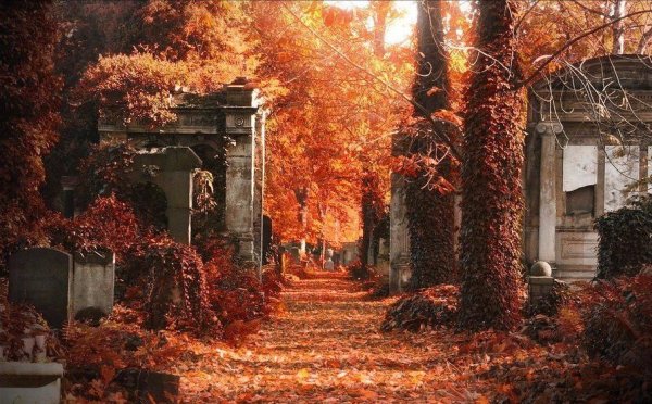 Осеннее кладбище