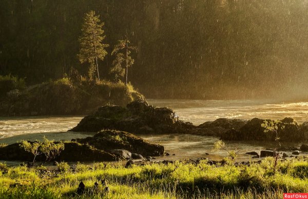 Пейзаж дождь