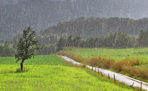 Дождливая природа