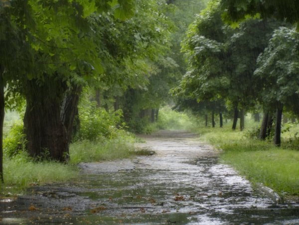 Проселочная дорога после дождя