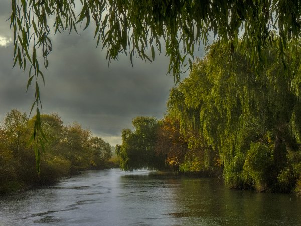 Пейзаж дождь