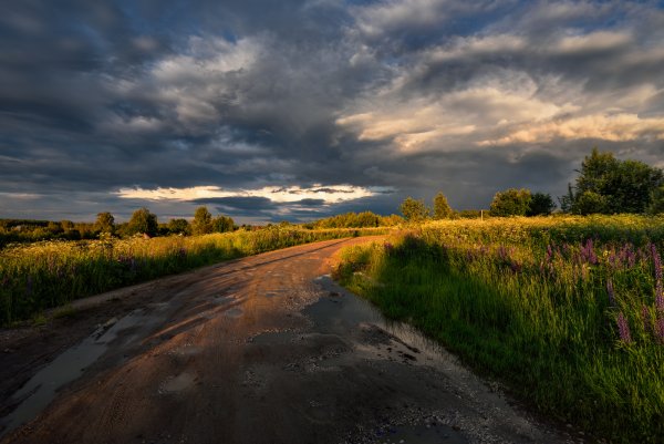 Красивые дождливые пейзажи