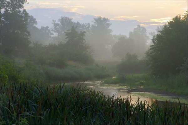 После дождя