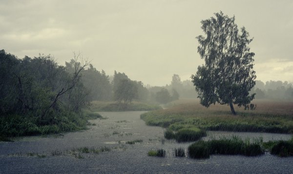 Художник дождя Джефф Роуланд