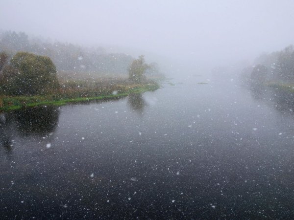 Эдуард Гордеев дождливый Петербург