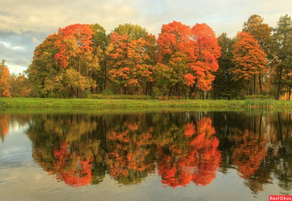 Осень отражение в воде