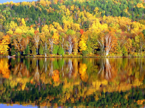 Художник пейзаж Ладыгин Олег