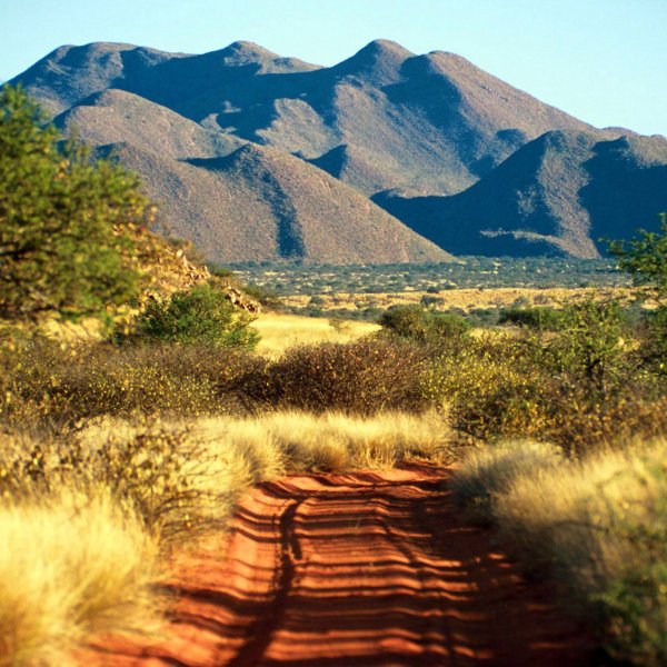 Пустыня Мохаве. Мексика.