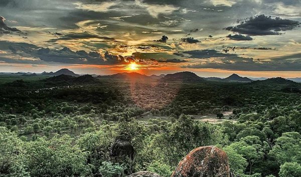 Южная природа