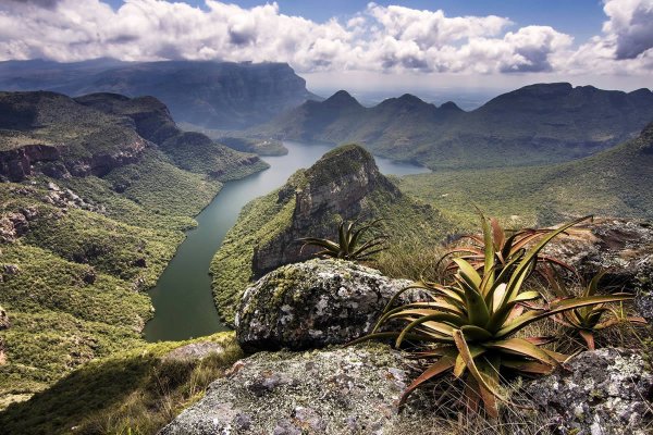 Удивительная Африка