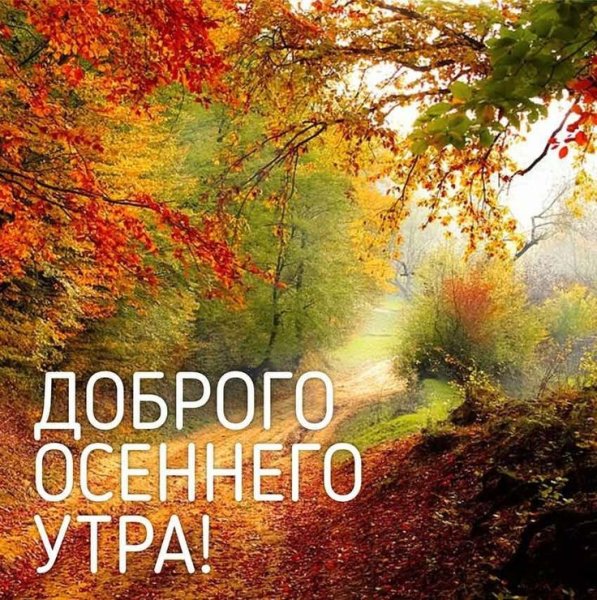 Доброе утро осеннее природа
