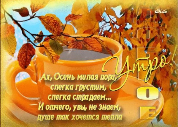 Открытки с воскресным осенним утром