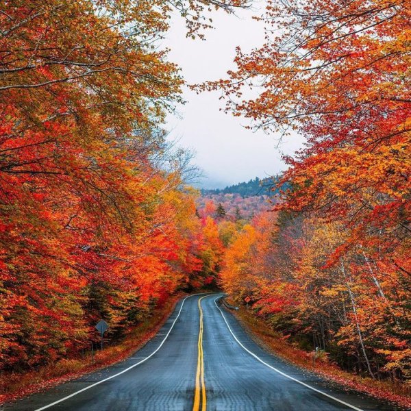 Прекрасного осеннего дня