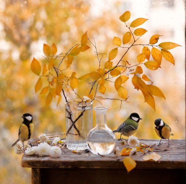 Открытки с добрым утром осенние с пожеланиями