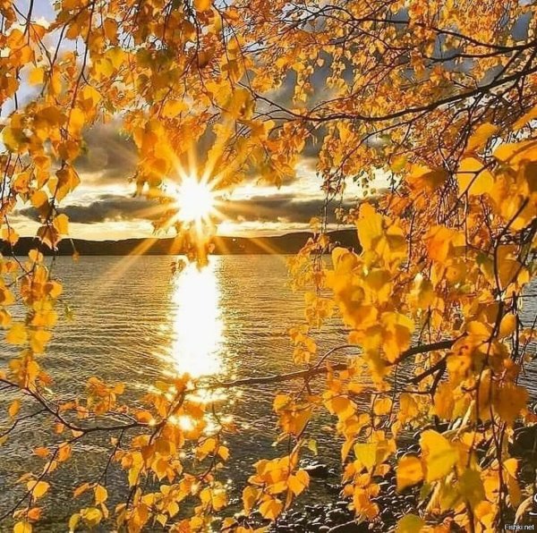 Красивой и счастливой осени