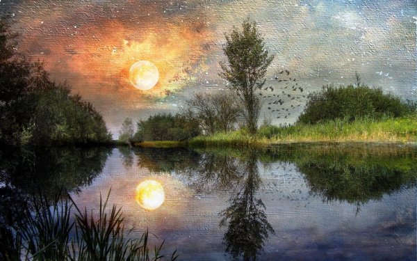 Закат на болоте