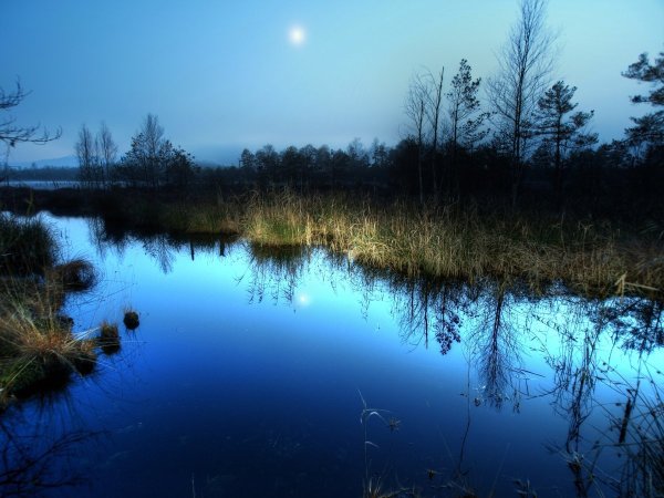 Джесси Луна