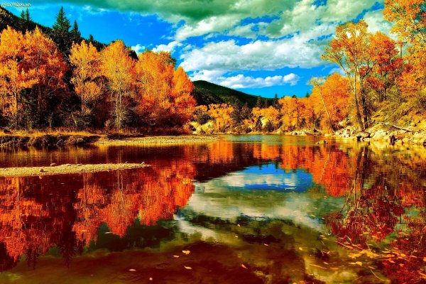 Яркий осенний пейзаж