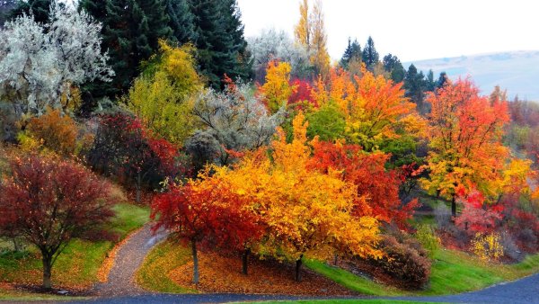 Красивая осень