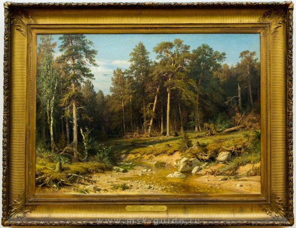 Шишкин мачтовый лес в Вятской губернии