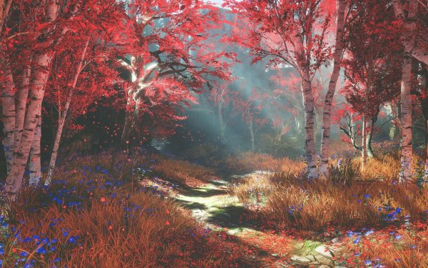 Мрачный осенний пейзаж