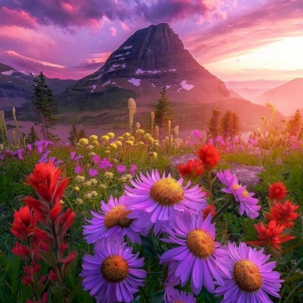 Восхитительный пейзаж