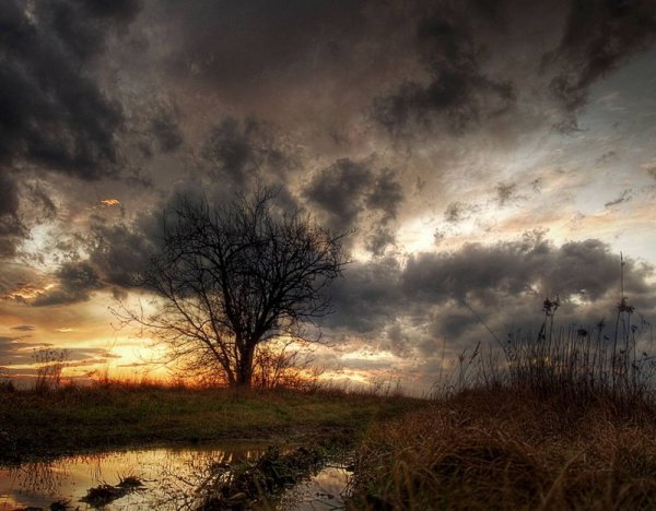 Хмурая осень