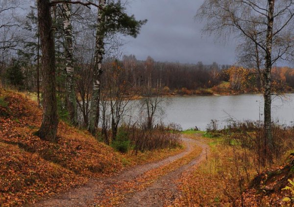 Пасмурный осенний день