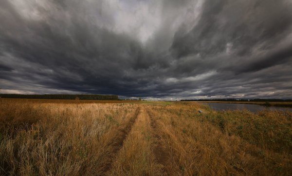Пасмурный пейзаж