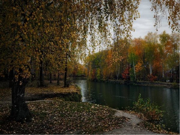 Пасмурная осень