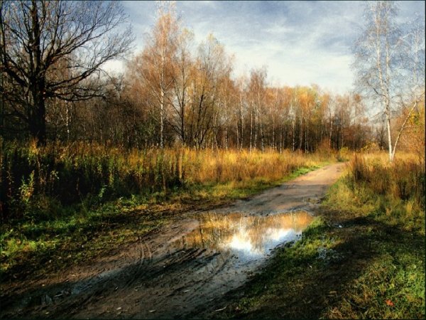 Осенний пасмурный день в деревне