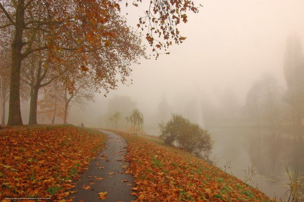 Туман осенью