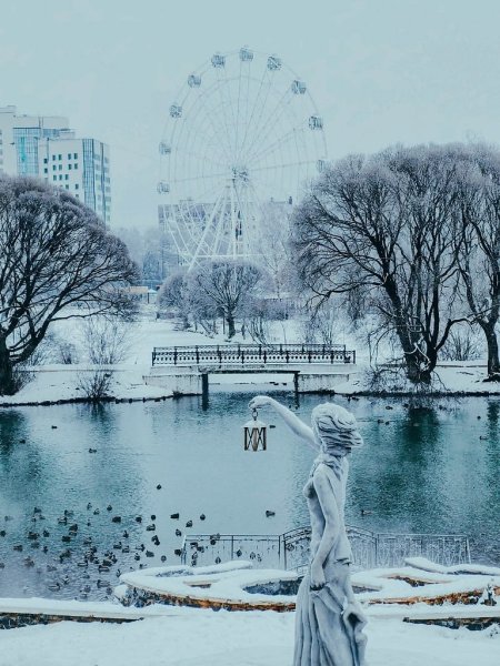 Вятский лес Киров