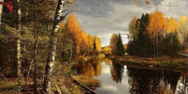 Осень деревня Зенькино