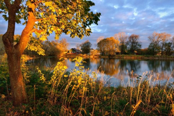 Вологда храмы осень